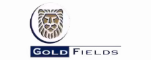 Gold Fields